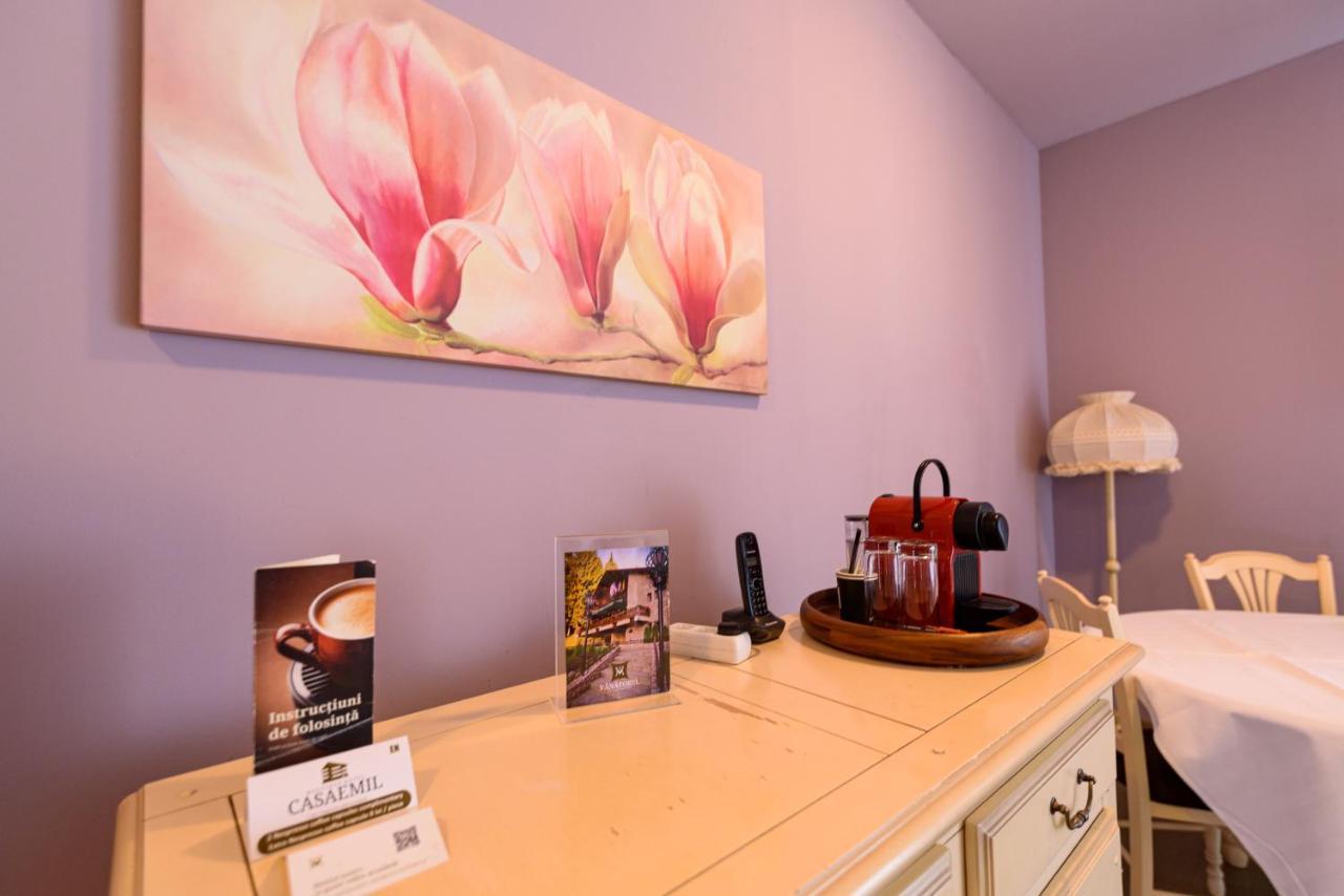 Boutique Hotel Casa Emil Poiana Brašov Exteriér fotografie
